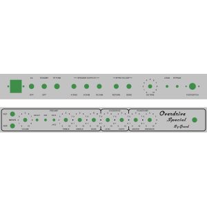 Grand ODS100 Overdrive Special Guitar Amplifier Dumble Clone 100W with Kinds