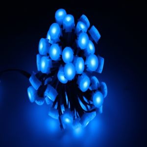 20mm 5050 RGB Decorative Changeable Emitting Color LED Light Source Led Points