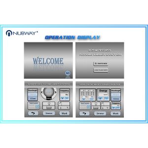 Multifunction Q Switched Nd Yag Laser Tattoo Removal Pigmentation Removal