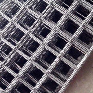 Plain Weave 2 x 2 Silver Hot Dipped Galvanized Welded Wire Mesh Panel for Gabion