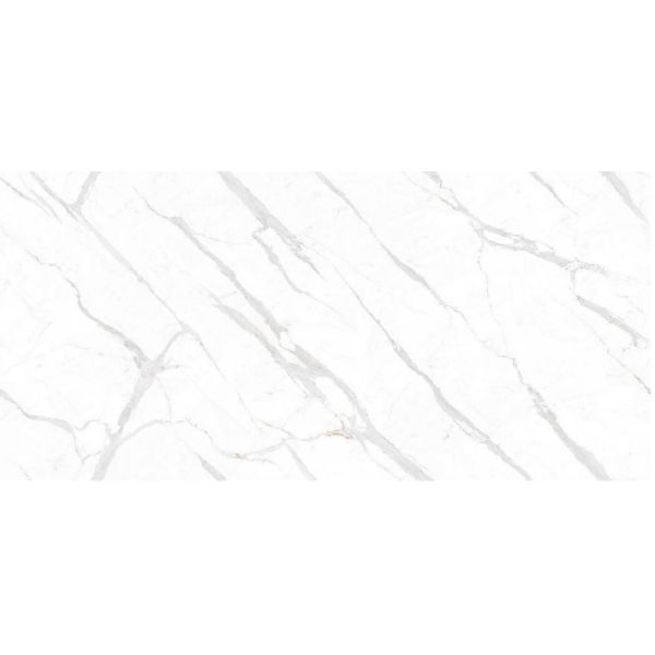 Quality Renewable Saint Calacatta White Slab Tile For Office Frost Resistant wholesale