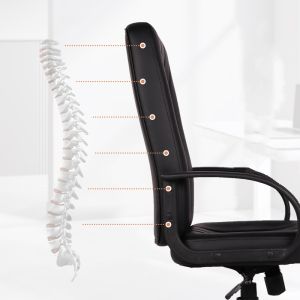 Adjustable Task Chair with Backrest High Back No Handrail Sturdy Ergonomic