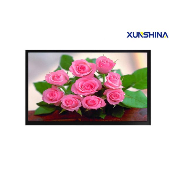Quality 280Nits Brightness 24" Professional LCD Monitor With BNC For Flower Stores wholesale