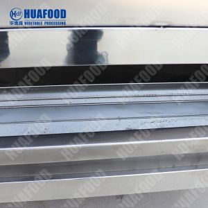 Vegetable Washing Machine Small One Yam Continuously Vegetable Washing Machine