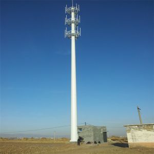 35M 40M Network Antenna Monopole Tower Telecommunication Cellular Monopole