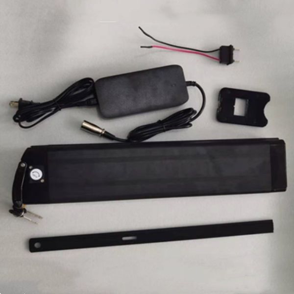Silver Fish Lithium Battery 48V 25Ah Length 630mm with charger For E Bike