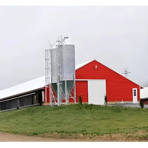 Prefabricated Steel Frame Poultry House with Fully Automated Chicken Farming Equipment