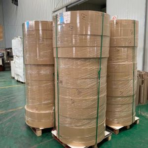 Bio Flexo Paper Cup Bottom Roll 320GSM Raw Material For Paper Cup