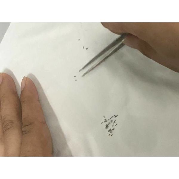 Quality High Accuracy Micro Precision CNC Machining , Medical Micro Precision Parts wholesale