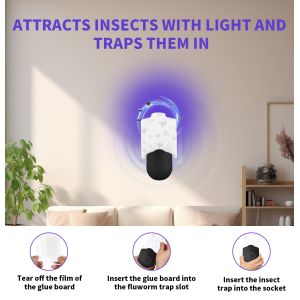 JZ New Arrival Indoor UV Light Human Harless Plug in Sticky Bug Zapper Mosquito