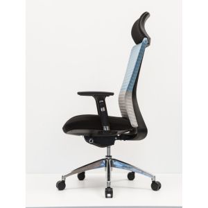 PC Desk 90-115d High Back Mesh Office Chair DIOUS Moded Foam