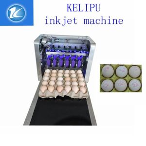 Automatic Egg Inkjet Batch Coding Machine To Enhance The Product Image