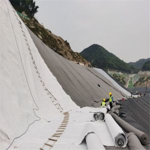 Industrial Design Style 100% Virgin HDPE Geomembrane Liners for Landfill