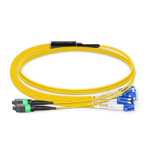 24 Fibers Cluster Branch MPO/MTP Single Mode Fan-out Patch Cord with Return Loss