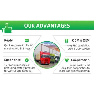 LiFePO4 Lithium Battery 24V 36V 60V 72V 50AH 60AH 100AH Rechargeable Lithium Ion