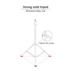 China Indoor 120PCS 160cm Tiktok Ring Lights , Tiktok Ring Light With Tripod on sale