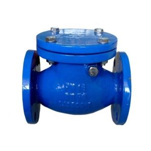 Non Return Valve Wafer Type Swing Check Valve for Medium Temperature Application
