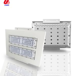 High quality IP65 Waterproof lighting 200W Canopy Lighting retrofit Petrol