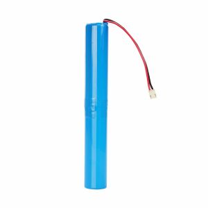 18650 1S2P Lithium Ion Battery Pack 6700mAh OEM For Power Tools