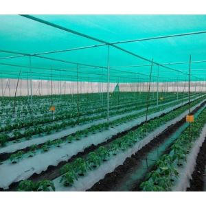 Plant Nursery Gardening Shade Mesh Debris Plain Agro Green Shade Net for