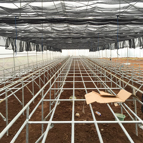 Quality Easy Maintenance Customizable Deep Water Cycle Hydroponics With Water Chiller wholesale