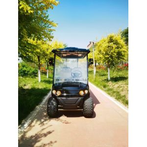 72V 4KW AC System Lead Batteries New Style 6 Seater Golf Cart With CE Certificat