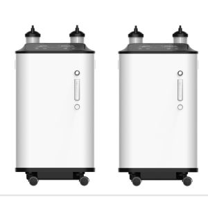 Cheap Remote Control Intelligent Alarm 10 Liter Oxygen Concentrator for sale