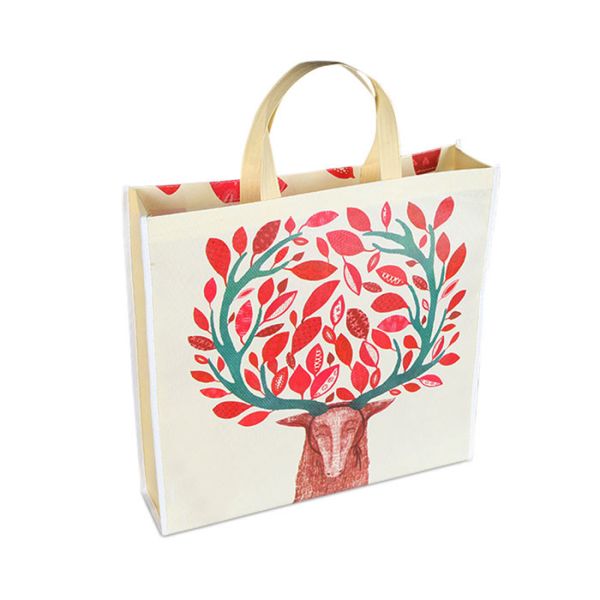 Quality Anti Bacterial PP Laminated Non Woven Handle Bag Anti Shrink Customized Non Woven Bag wholesale