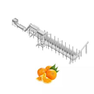 High Quality Customizable Orange production plant New fruit Juice Processing