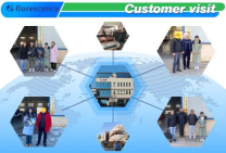 4+2 Seater Utility Electric Golf Cart Support OEM Electric Golf Buggy 70V Lithium Battery