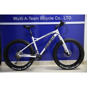 Cheap Custom Chromoly 8 Speed Fat Tire Bicycle 700C Steel for sale