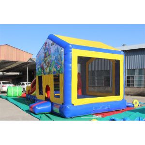 Customized Color Inflatable Water Slide for Unisex Commercial Bouncer and Bouncy