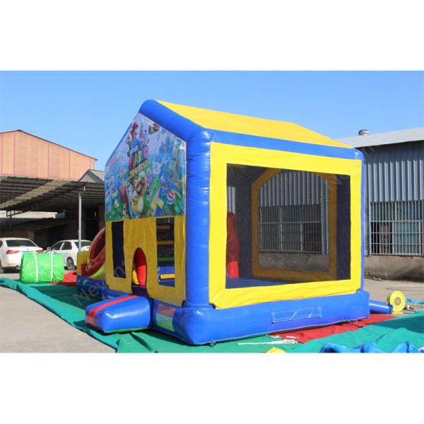 Customized Color Inflatable Water Slide for Unisex Commercial Bouncer and Bouncy