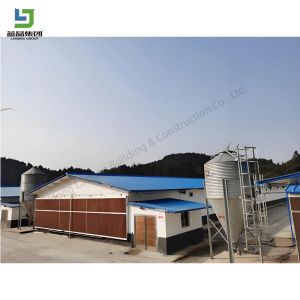 Hot Sale Prefabricated Light Structure Structure Prefab Poultry House Design