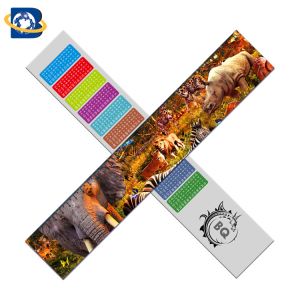 Fantastic 3D Lenticular Printing Ruler 0.9mm PET+157g Paper Material