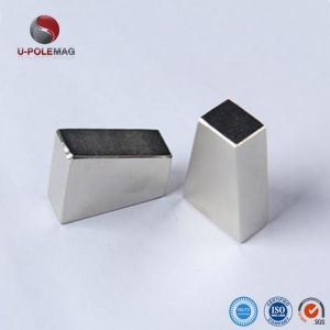 N52 Neodymium Permanent Magnets in Customized Size for Motor and Industry