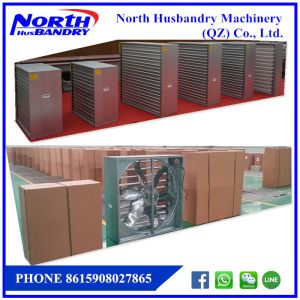 Quạt trang trại quạt thông gió hút mùi làm mát chuồng trại chăn nuôi