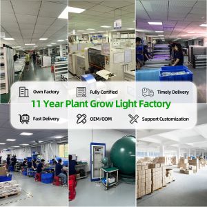 High Ppfd Horticulture Samsong Lm301h Evo Indoor 1000W Plant Lights Bar Full