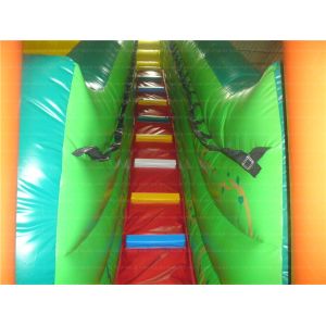 Super Lion Inflatable Slide (CYSL-30)