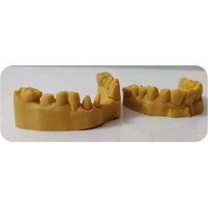 CAD CAM Photosensitive Resin Composite Dental 3D Print model