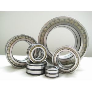 NJ2204E Stable Precision Cylinderical Roller Bearing with ISO Certificated