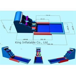 Durable PVC Tarpaulin dolphin theme Inflatable Dolphin pool Slide with different