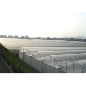 China Multi Span Hydroponic Tunnel Plastic Cover Greenhouse on sale