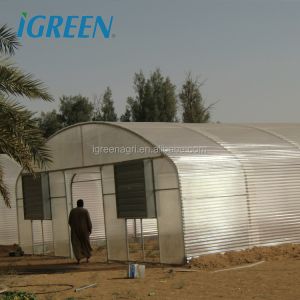 5m Roof Height Single Span Greenhouse Smart Chinese Style Greenhouse