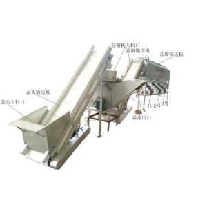 China Garlic cloves grading machine, garlic clove sorting machine, garlic seeds grader on sale China Garlic cloves grading machine, garlic clove sorting machine, garlic seeds grader on sale