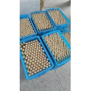 China Regular Maintenance Recommendations Epoxy Resin Machine For Servo HMI APG Clamping Control System Hardware Support And Services on sale