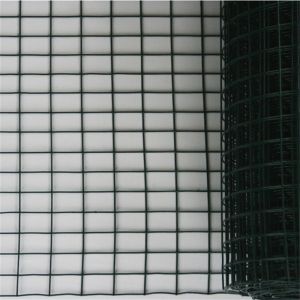Iron Wire Mesh Roll 6 Gauge Galvanized Welded Wire Mesh Plastic Coated Welded