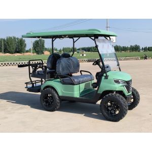 shock absorption performance beach buggy golf cart vehicle nev lsv