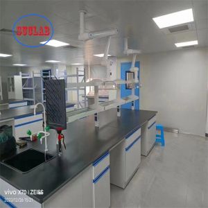 Customizable Chemistry Laboratory Furniture Design Modern Classic Design For