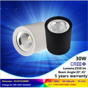 China 4000K 30W good design COB LED downlight NEW ceiling mounted lamps for commercial light on sale